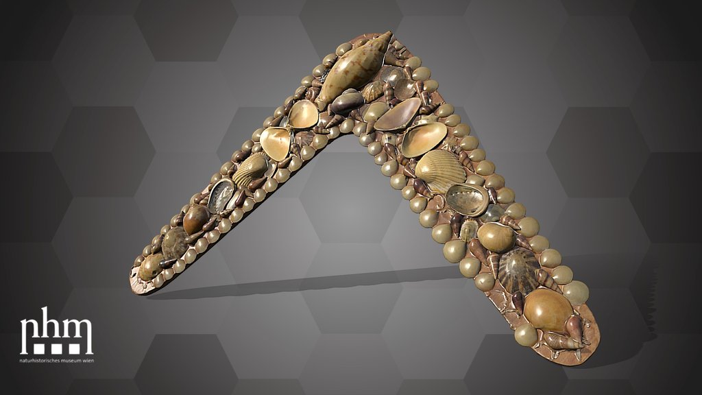 Boomerang (NHMW-ZOO-MO-0081100-ETH-079)