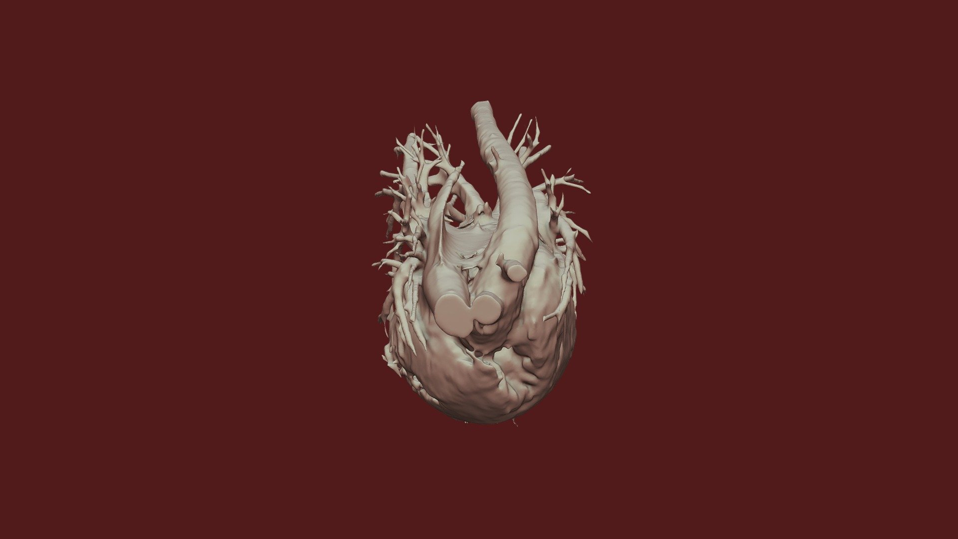 heart_normal
