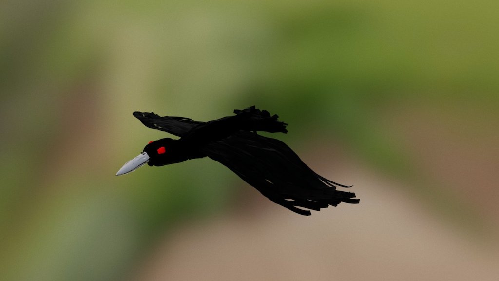 Crow