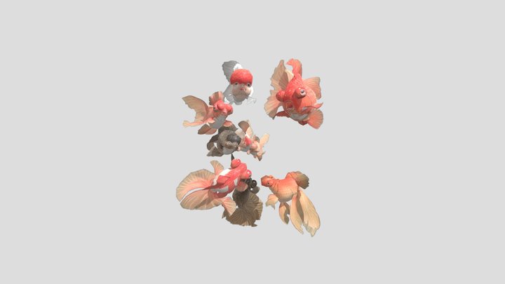 C20-070_goldfish_20211206 3D Model
