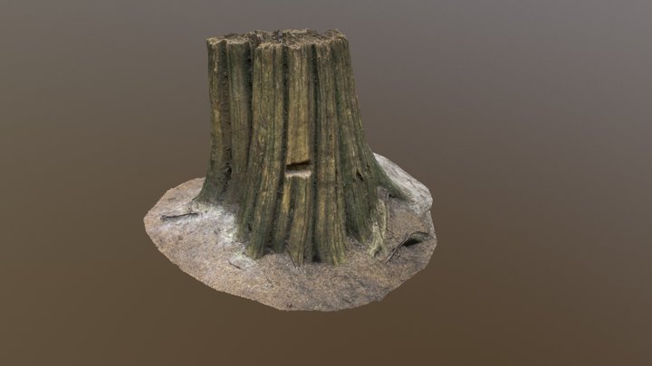 Forest_Stump_A 3D Model