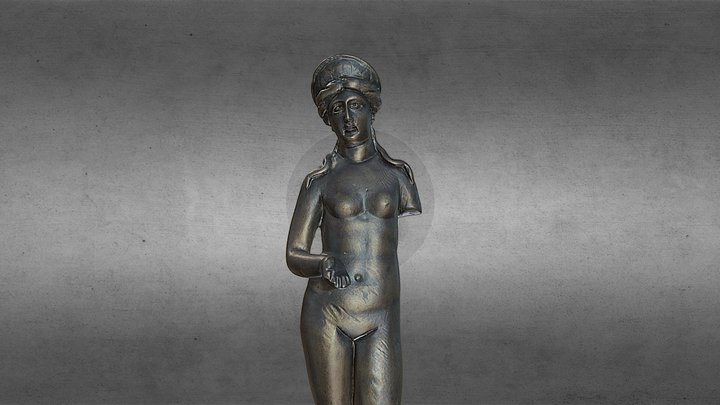 Venus Bz 3D Model