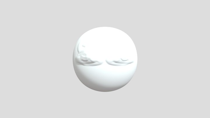 My model 3D Model