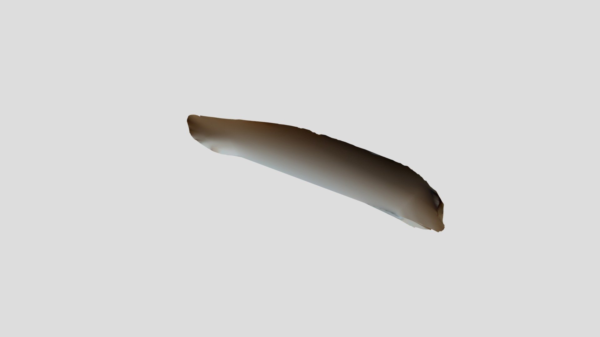 bone