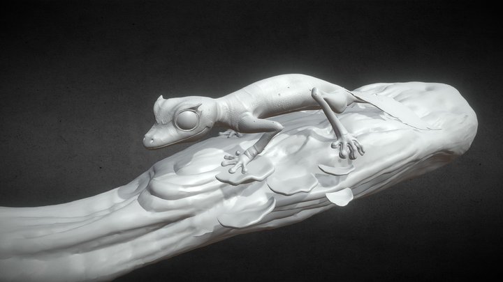 Satanic leaf-tailed gecko 3D Model