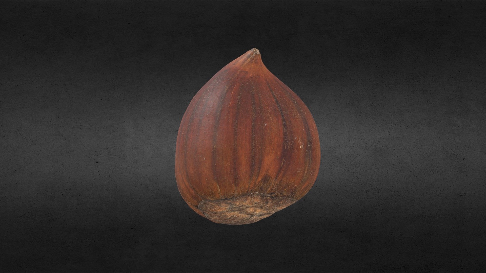chestnut - castagna - 8k texture - Buy Royalty Free 3D model by Franko ...
