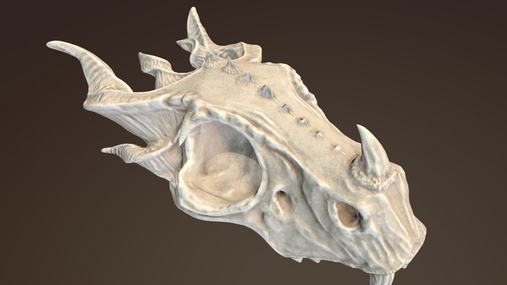 Dragon Skull 3D Model