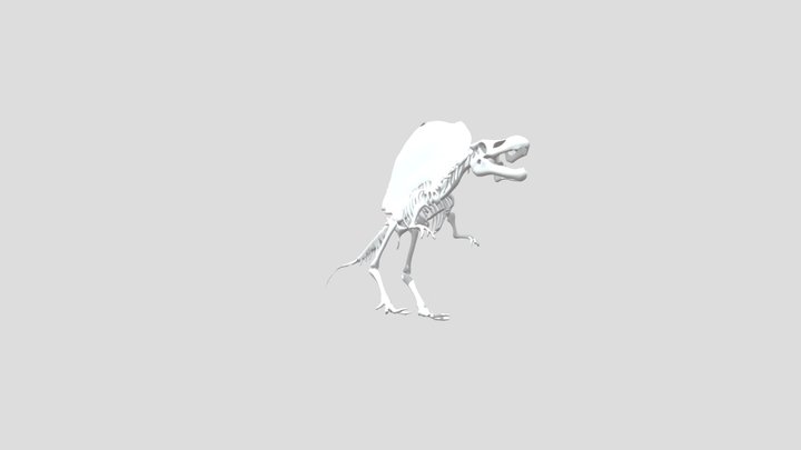 Spinosaurus_Skeleton__0210064915_generate 3D Model