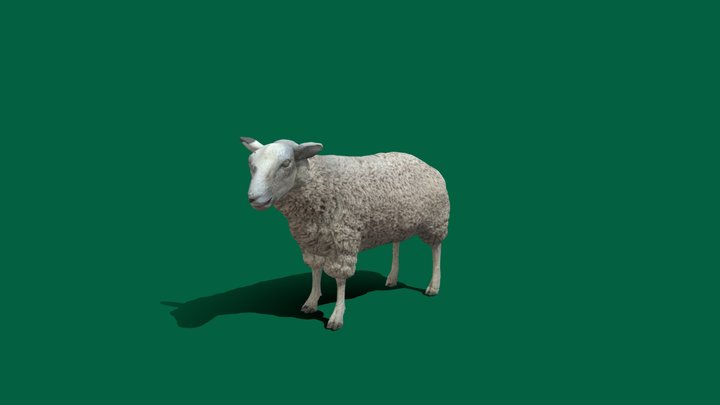 Sheep-Test (Non-Commercial) – Free 3D Model STL