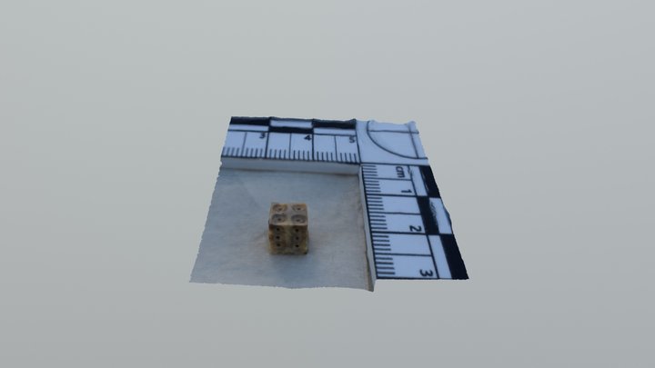 Dice from Badia Pozzeveri 3D Model
