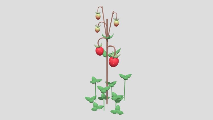 Woodland Strawberry Plant 3D Model