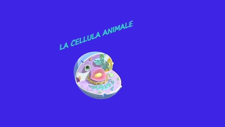 animal-cell 3D Model