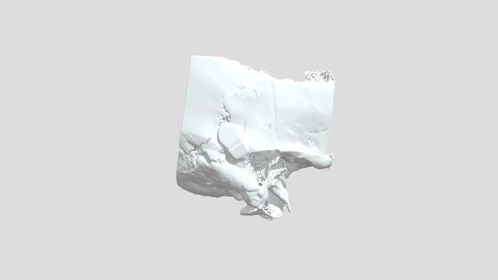 Specimen2_sketchfab 3D Model