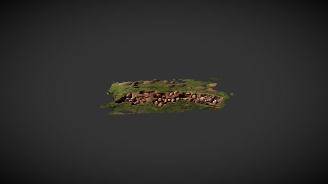 Kamekan 3D Model
