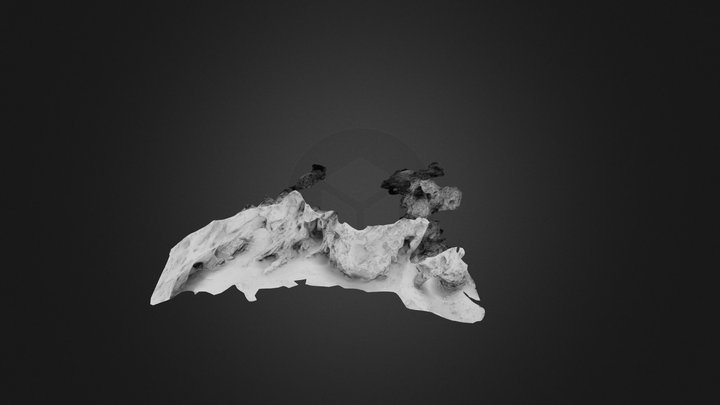 Hoh St03 3D Model
