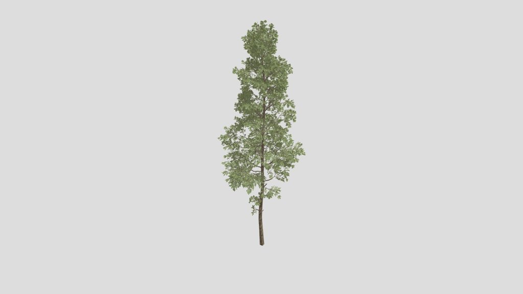 Pine Tree V3
