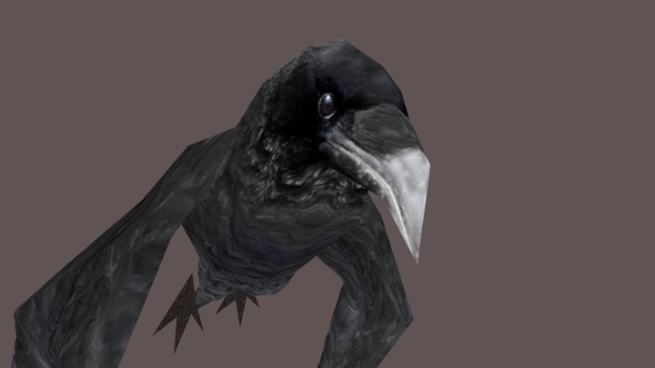 Crow (Crow) 3D Model