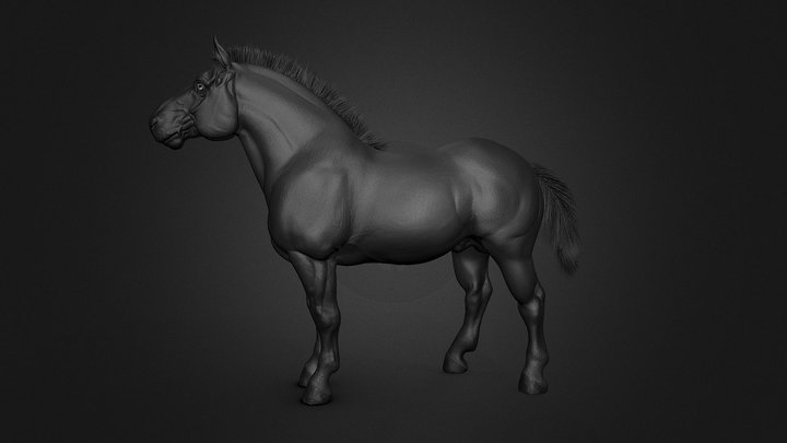 Draft Horse 3D Model