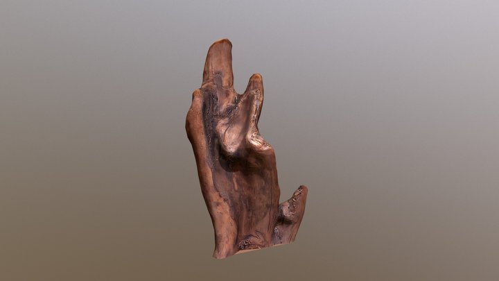 Wood (Photogrammetry) 3D Model