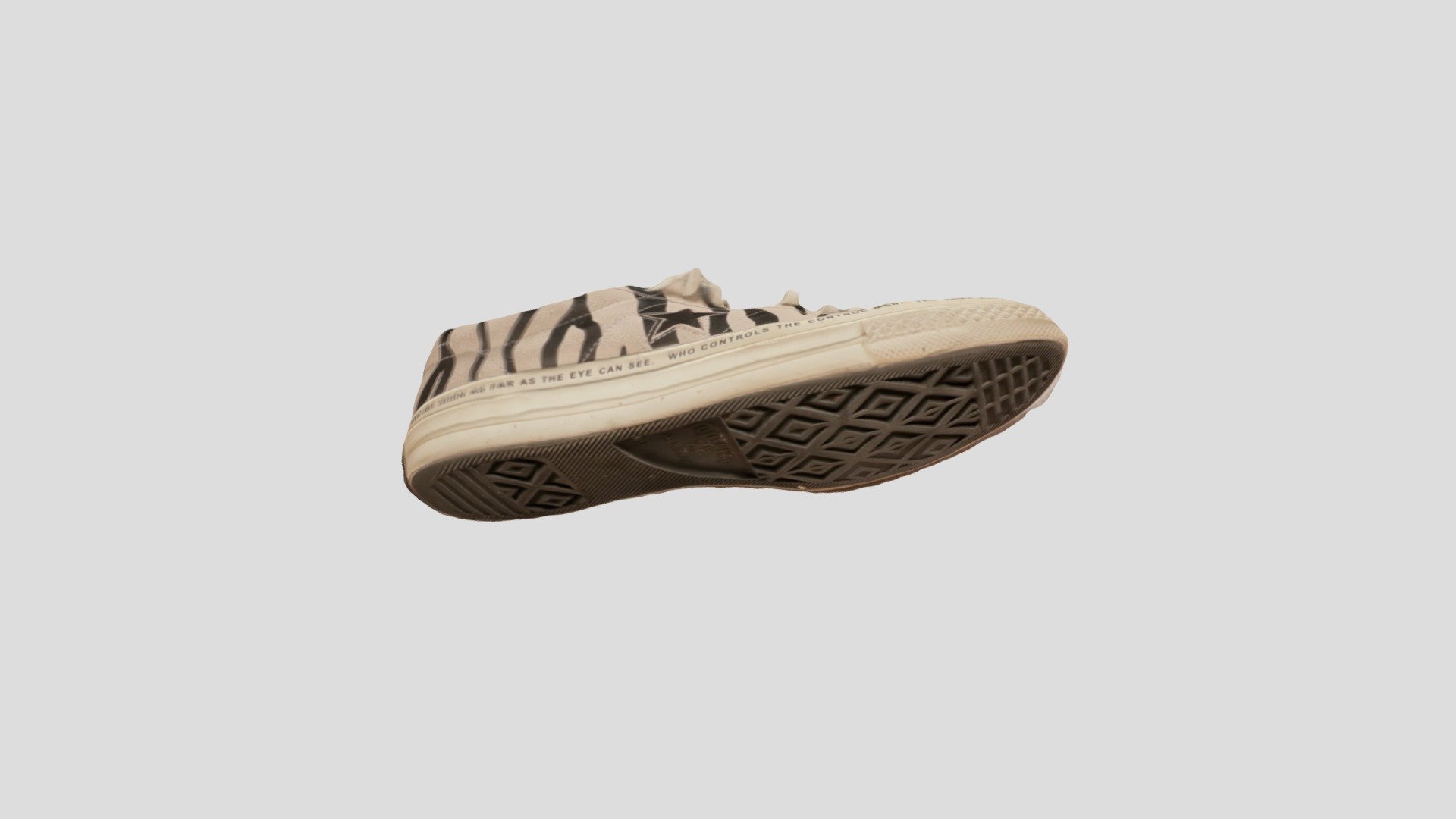 Shoe Metashape