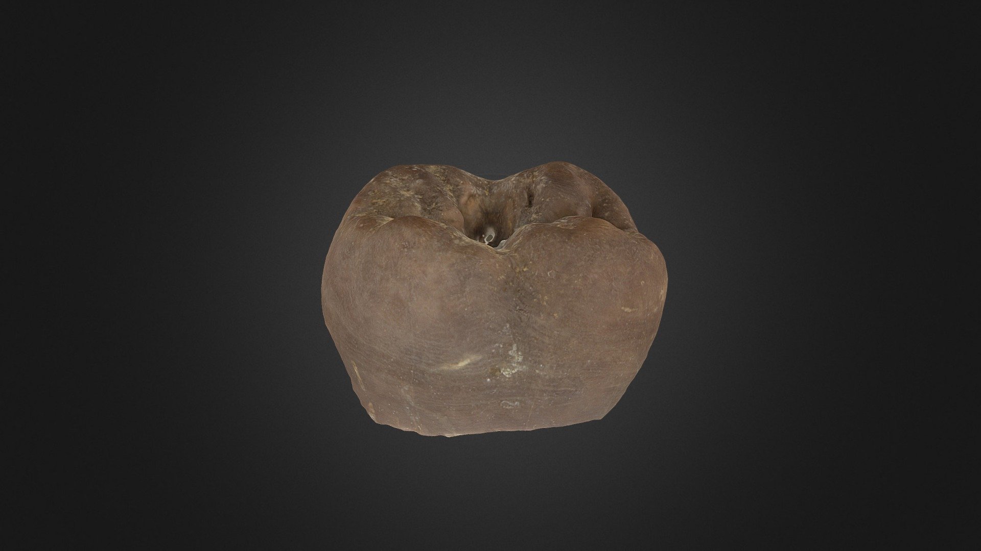 Prehistorische menselijke kies