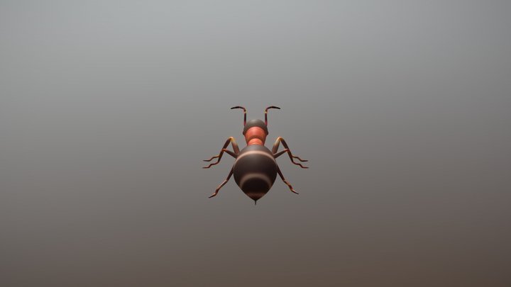 Fire Ant 3D Model