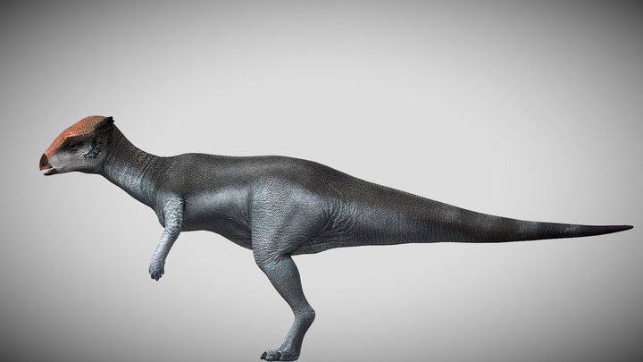 JP:OG Homalocephale – Modelo 3D gratuito STL