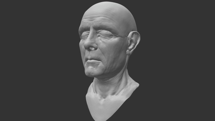 Realistically (From Scratch) Sculpted Male Head 3D Model