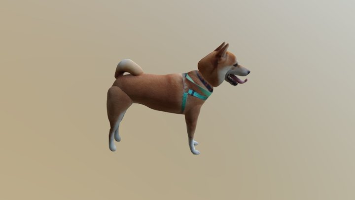Model Zen(Shiba dog) 3D Model