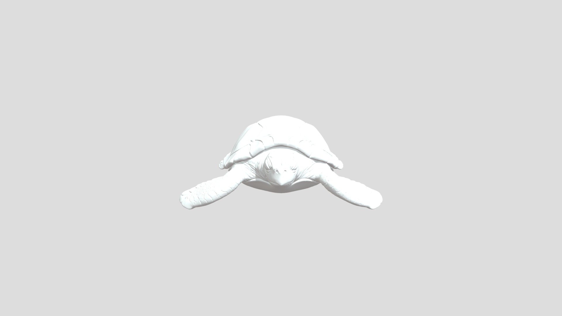 Ceramic Sea Turtle 2 - 3D model by x.mendietagu [199bcd1] - Sketchfab