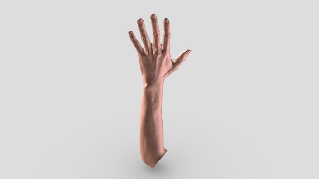 Hand-arm
