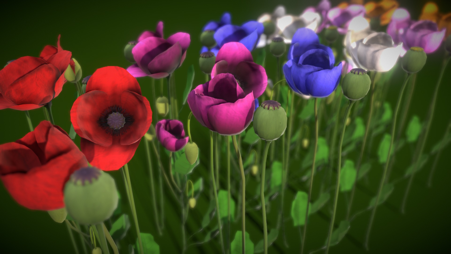3D model Papaveraceae Flower - This is a 3D model of the Papaveraceae Flower. The 3D model is about a group of colorful flowers.
