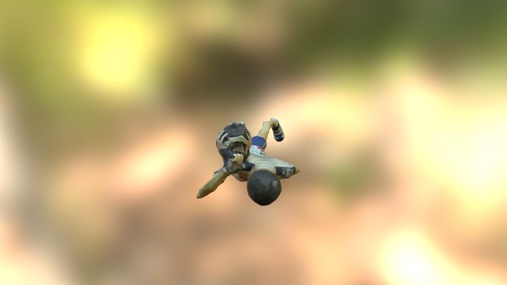 Figure 3D Model