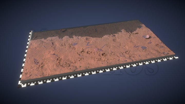 Pond Trackway #1 3D Model