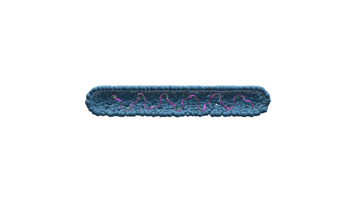 Ebola virus 3D Model
