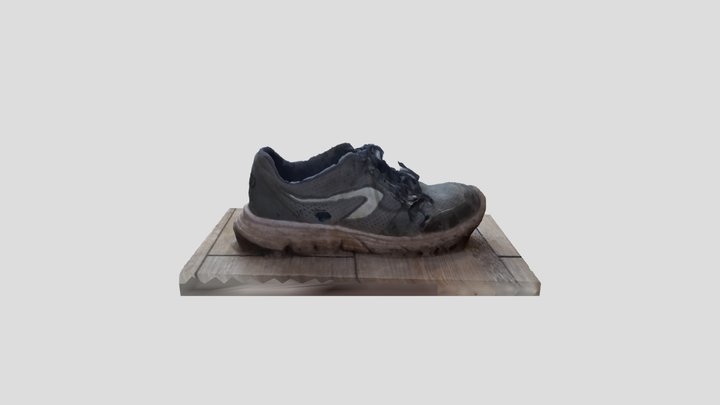Shoes - destroyed - trash 3D Model