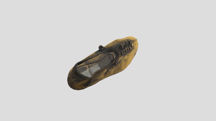 Paavo Nurmi's Gilded Shoe