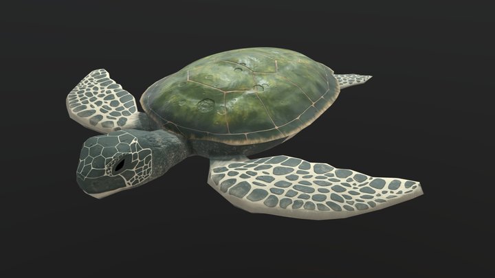 The great turtle A'tuin 3D Model