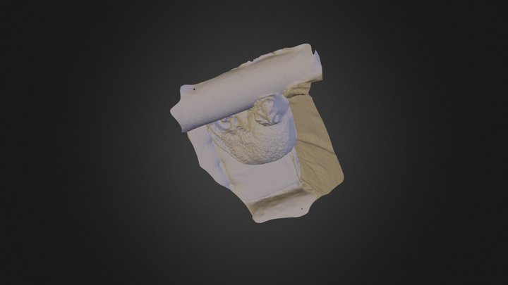 Mikes 3D Model