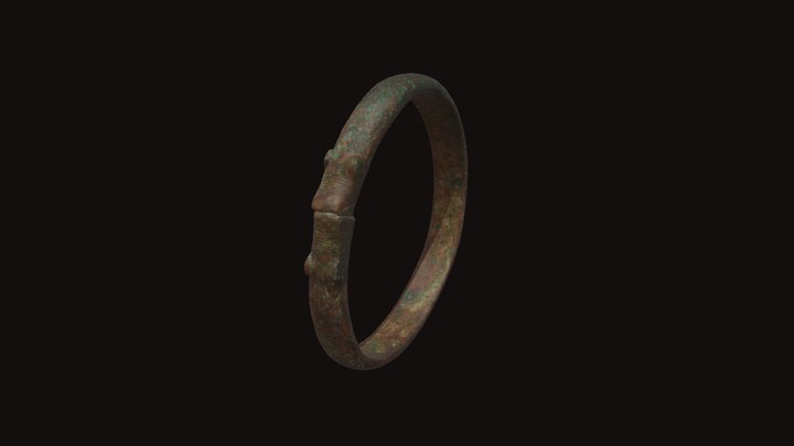bracelet with enclozed zoomorphic endings 3D Model