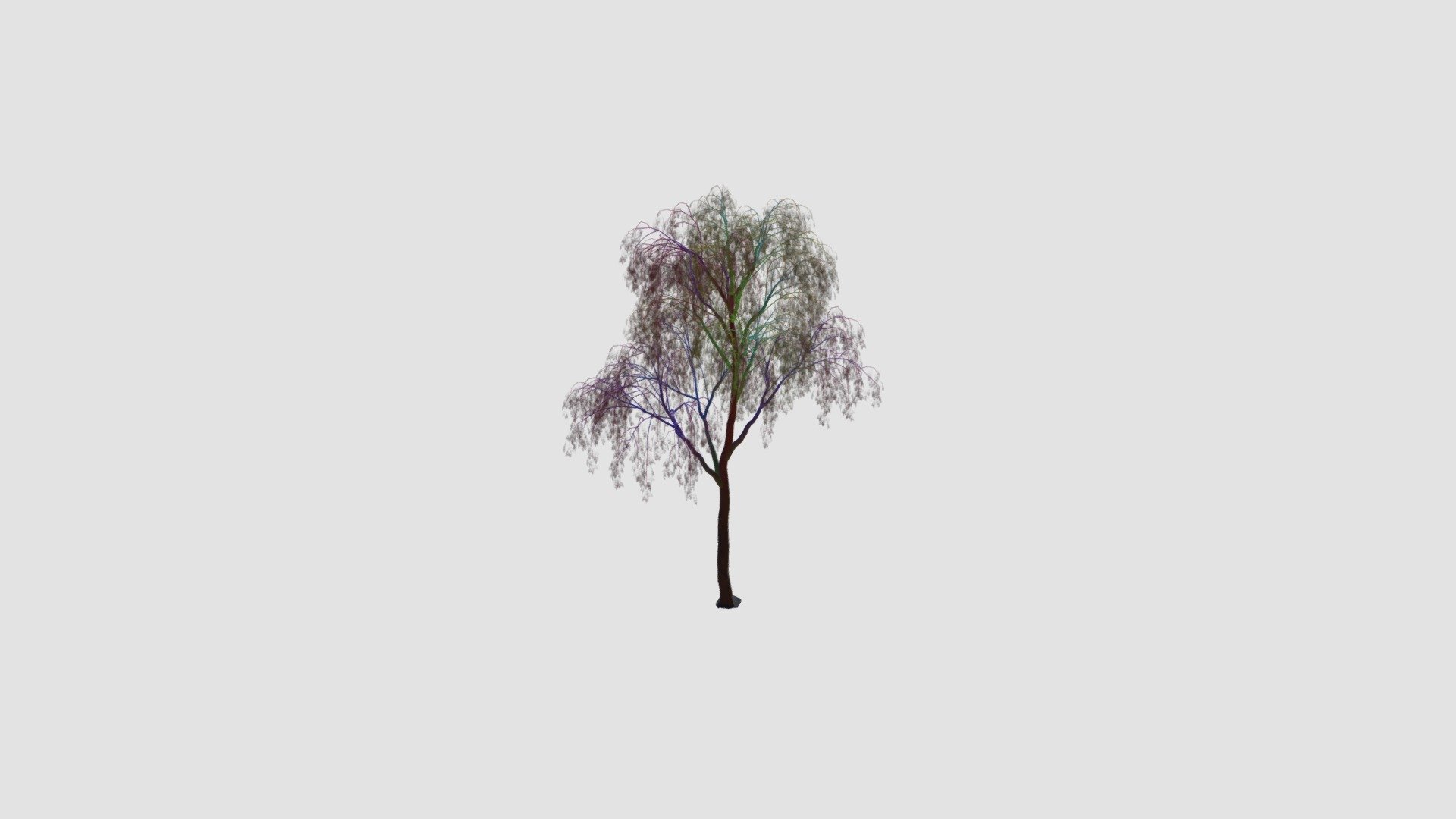 Tree — Sketchfab embed 3D viewer