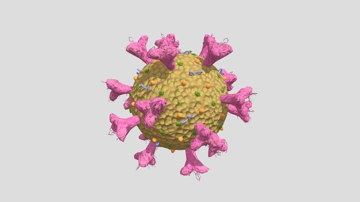 coronavirud 3d 3D Model