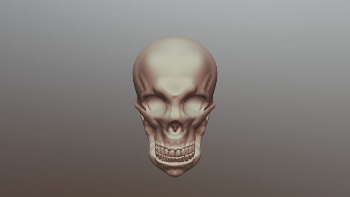 full skull dc20 3D Model