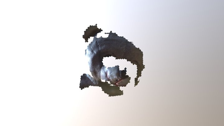ut_jan_8_10_22_12_2019_GMT_obj 3D Model