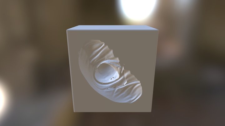 Reverse MOLD Steve Capano Bust 3D Model