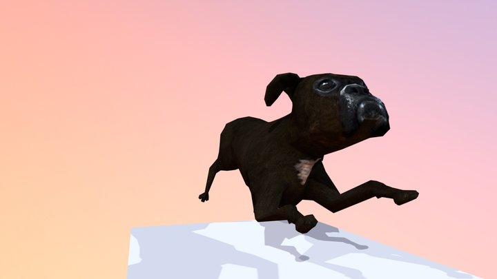 Something's not right 3D Model