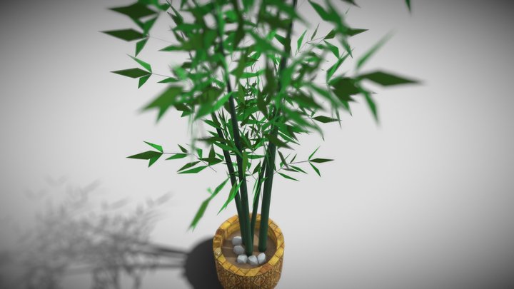 Bamboo with plant pot 3D Model