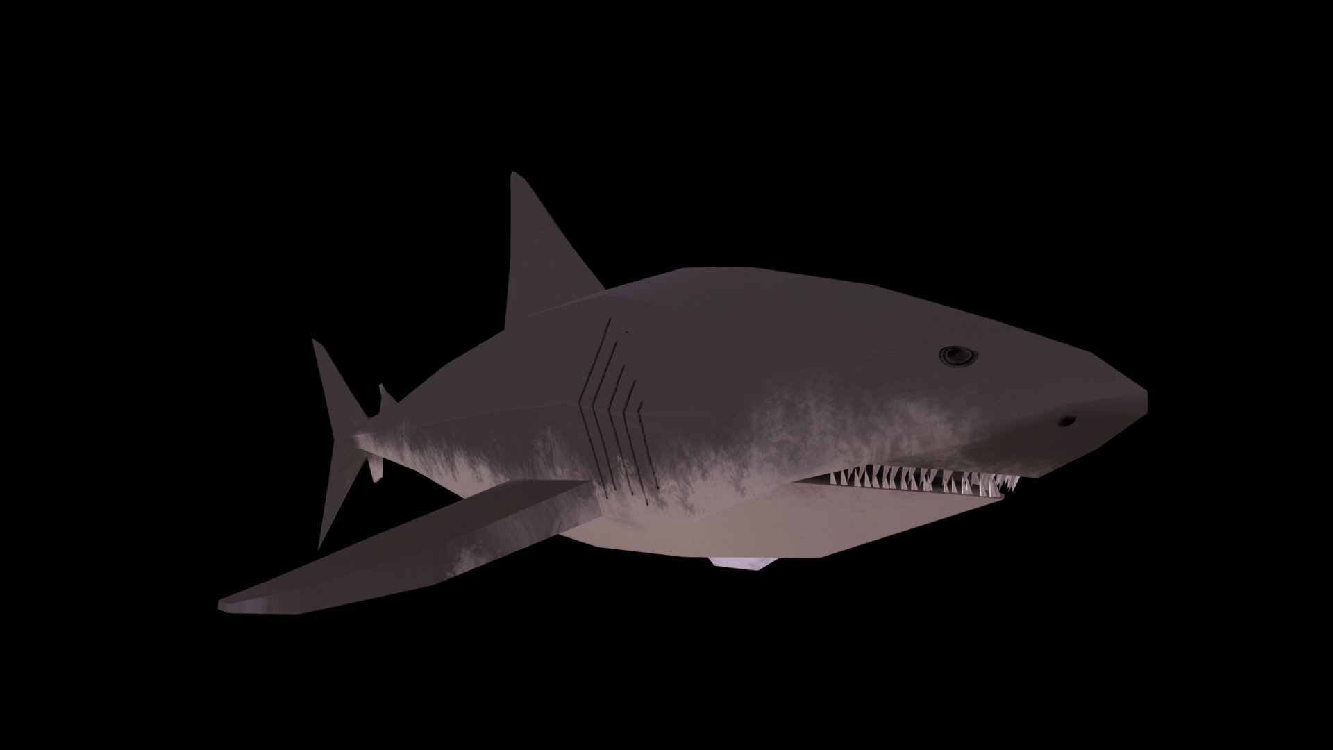 Shark