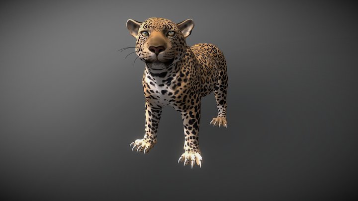 Jaguar World Wildlife México WWF 3D Model