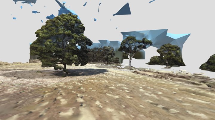 Royal Park Tree 3D Model